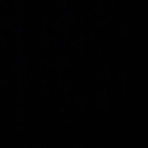 Meet your Posher, Kennicia